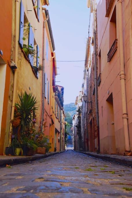 Au Coeur De Ville Avec Terrasse Céret المظهر الخارجي الصورة