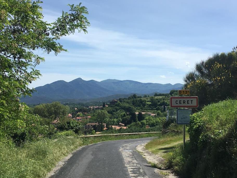 Au Coeur De Ville Avec Terrasse Céret المظهر الخارجي الصورة