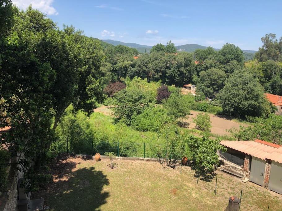 Au Coeur De Ville Avec Terrasse Céret المظهر الخارجي الصورة